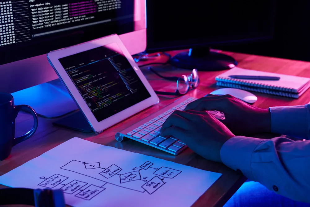 Professional Diploma in Computer Application Skills